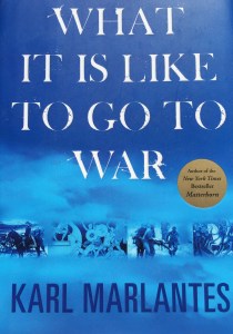 What It Is Like To Go To War